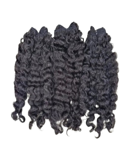Burmese Curly